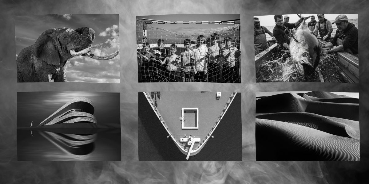 MonoVisions Awards 2026: un palcoscenico globale per i maestri della fotografia in bianco e nero