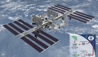 La fertilità maschile alla prova dello spazio – MEDIA INAF