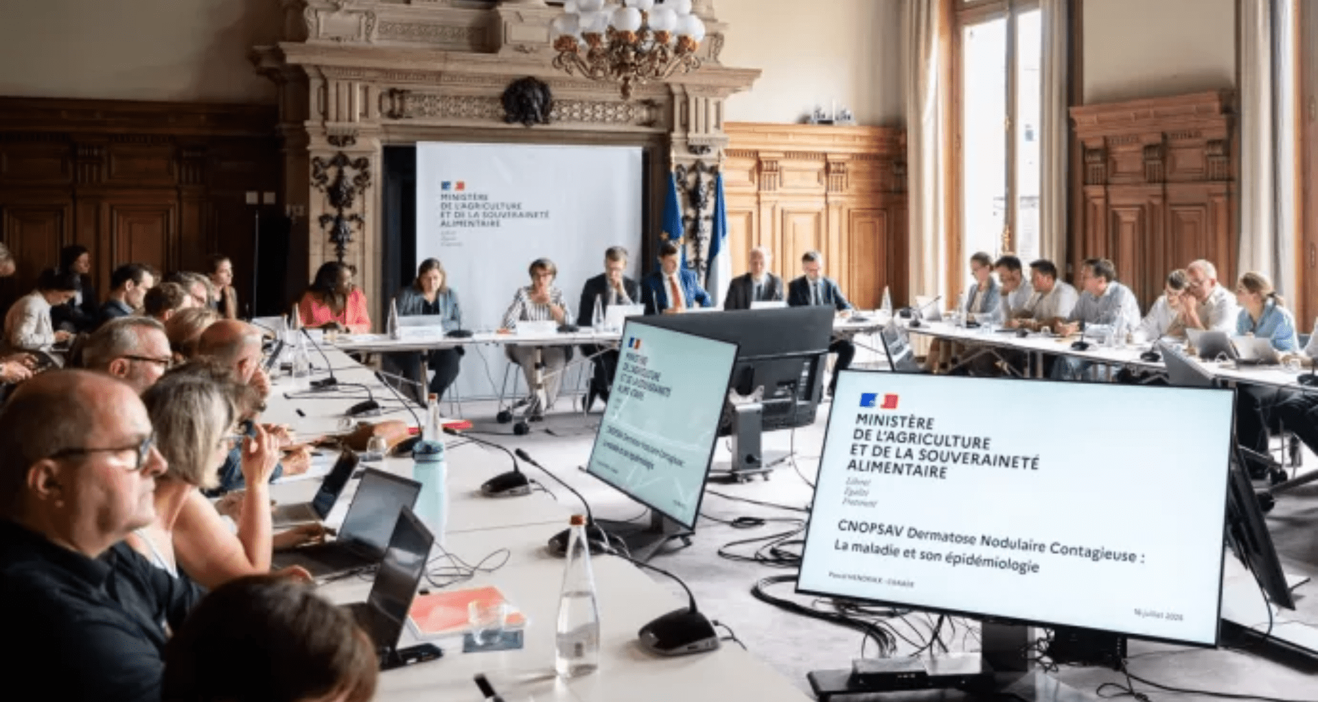 Réunion sur la dermatose bovine du Comité national d’orientation de la politique sanitaire animale et végétale, à Paris le 16 juillet 2025 - Riunione sulla dermatite bovina a Parigi, il 16 luglio 2025 (c) Ministère de l'Agriculture