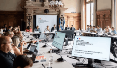 Réunion sur la dermatose bovine du Comité national d’orientation de la politique sanitaire animale et végétale, à Paris le 16 juillet 2025 - Riunione sulla dermatite bovina a Parigi, il 16 luglio 2025 (c) Ministère de l'Agriculture