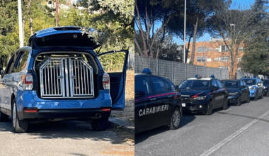 “I più furbi erano già fuggiti”