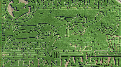 Da Peter Pan ad Alice: labirinti letterari nei campi di mais, visti dall'alto