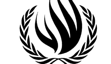 Logo dell'Ufficio dell'Alto Commissario per i Diritti Umani delle Nazioni Unite (OHCHR)