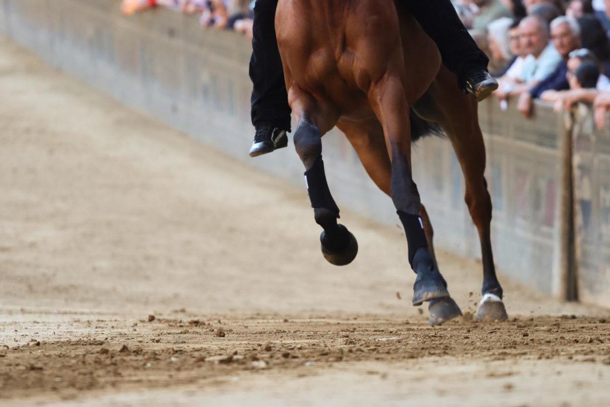 Palio di Siena, domani mattina sopralluogo e riunione per decidere svolgimento quarta prova