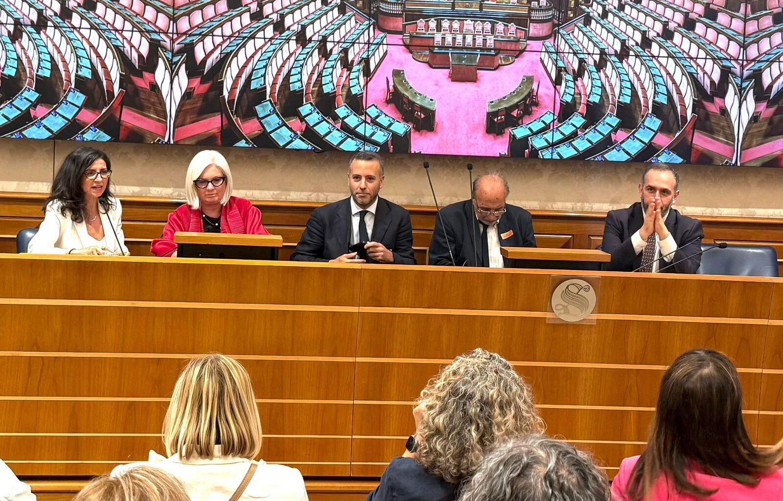 Psicologo pubblico, raccolte 25mila firme per legge su sistema psicologico in Ssn