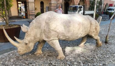Nella piazza storica arriva la scultura di un rinoceronte: ecco che cosa rappresenta