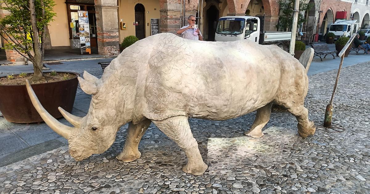 Nella piazza storica arriva la scultura di un rinoceronte: ecco che cosa rappresenta