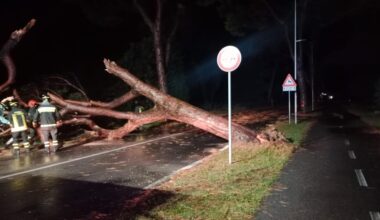 Temporale a Cavallino nella notte, cadono alberi sulla strada