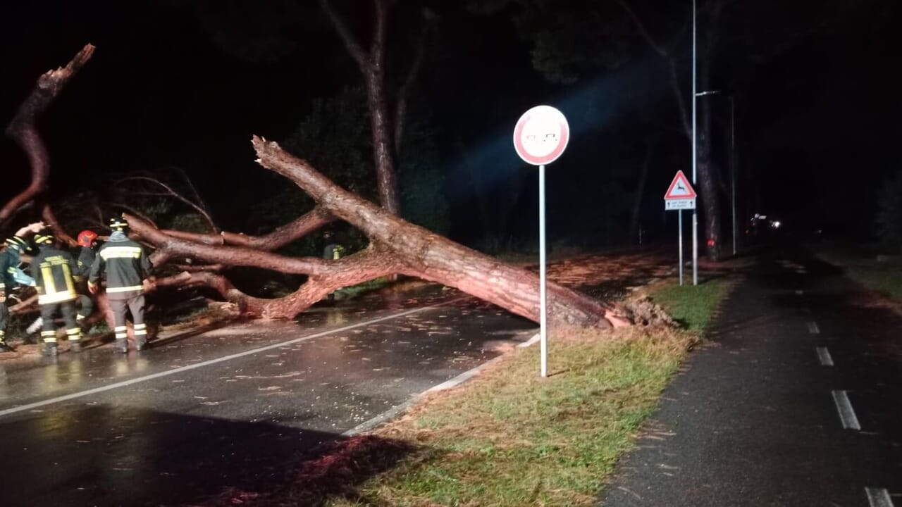 Temporale a Cavallino nella notte, cadono alberi sulla strada