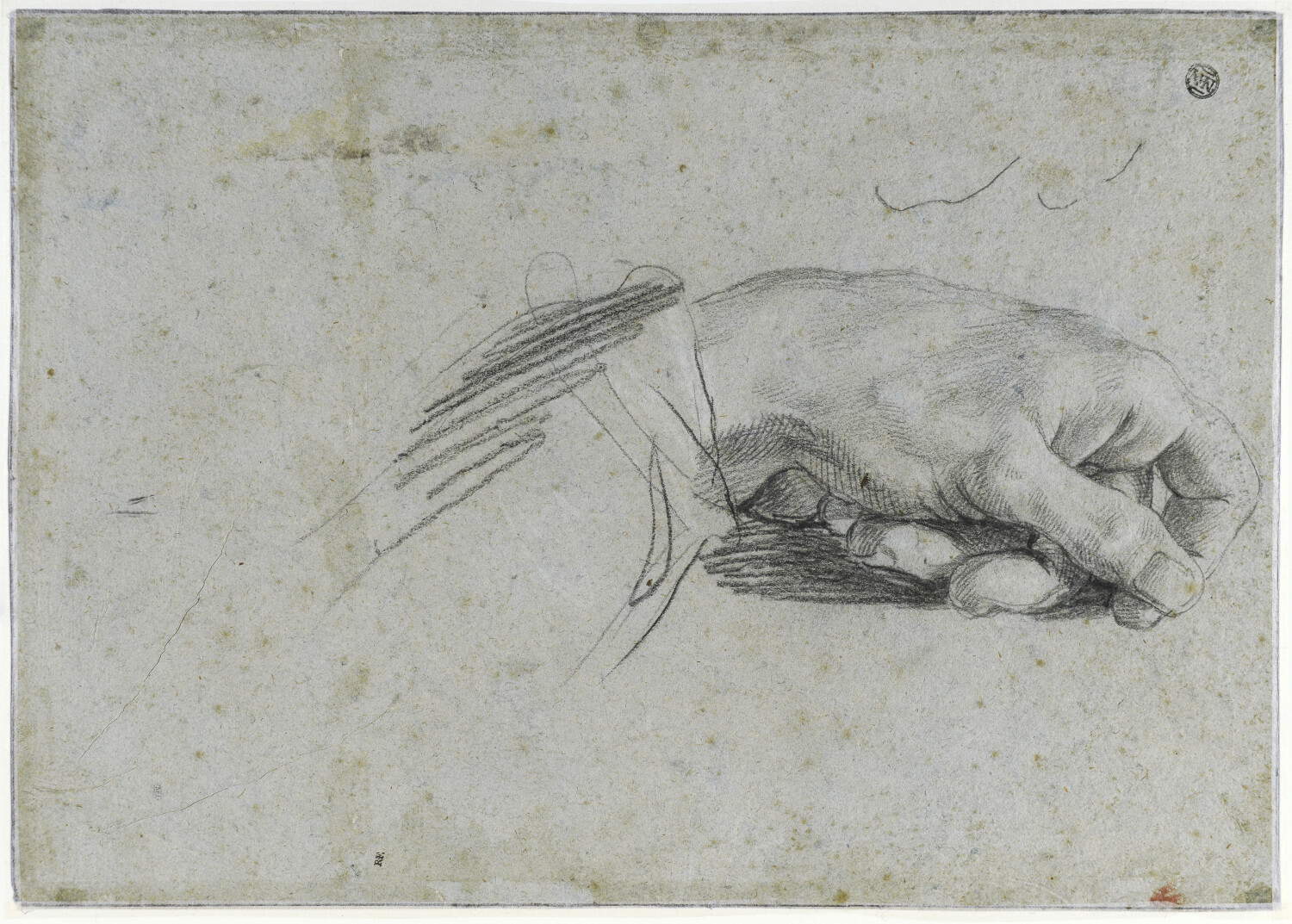 Annibale Carracci, Studio di una mano sinistra piegata © Musée du Louvre, GrandPalaisRmn. Foto di Suzanne Nagy