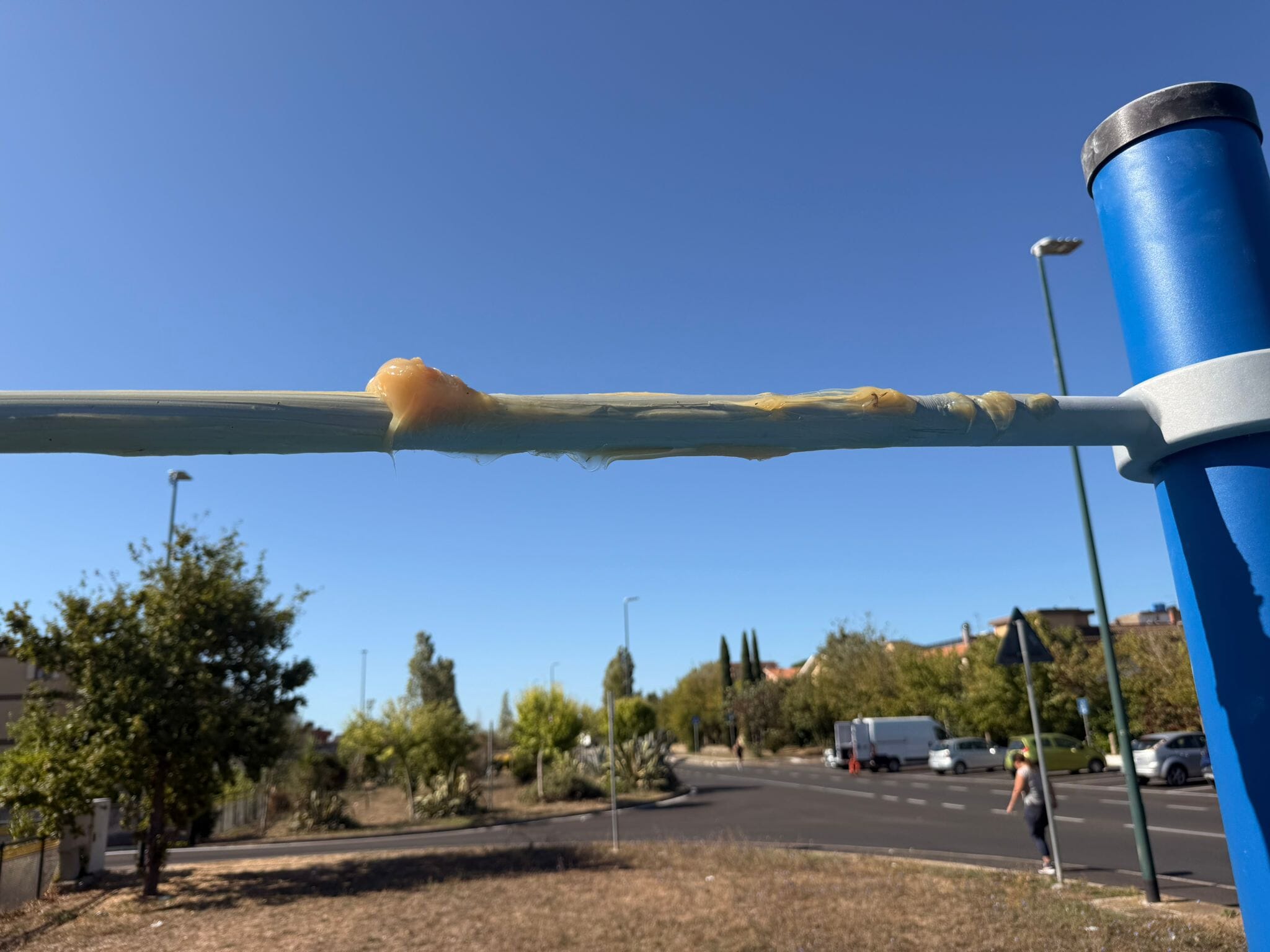 area fitness viale gandin vandalizzata