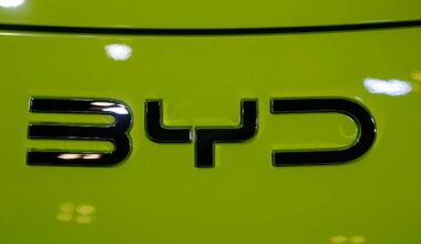 byd station wagon