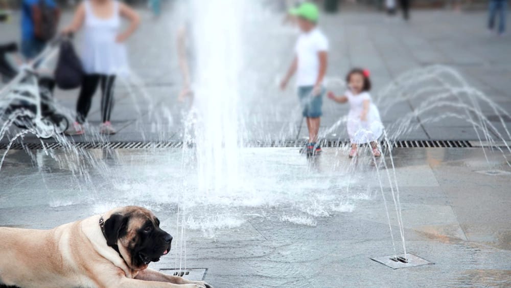 le previsioni meteo per il weekend di Ferragosto