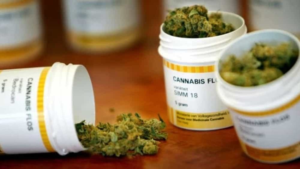 donna affetta da pancreatite cronica, torna a vivere grazie alla cannabis terapeutica