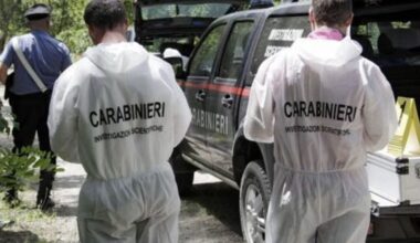 Roma, rapinata e violentata all'alba nel parco di Tor Tre Teste. È caccia all'uomo