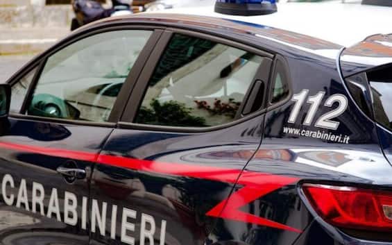 Viareggio, cadavere decomposto trovato in pineta