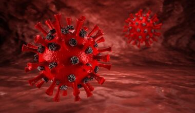 Vaccini, trovata l’equazione per fermare le epidemie sul nascere