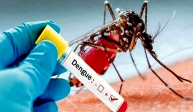 Caso sospetto di Dengue in Brianza: scatta la disinfestazione straordinaria