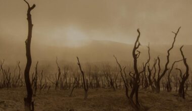 fare il deserto e chiamarlo pace