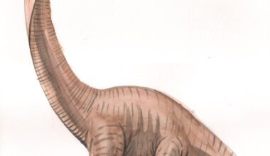 La malattia contro il potere. Giovanna Ferrara e l’innocenza dei dinosauri