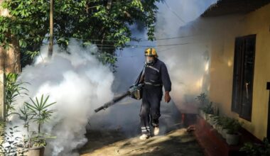 Nuovo caso di Dengue a Medicina, i sintomi a Ferragosto dopo un viaggio 