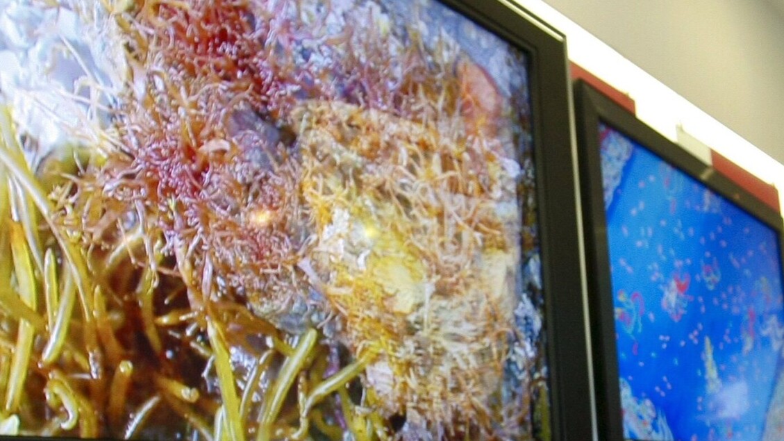La tv è il primo dei media, ma con una fruizione personalizzata - Tv
