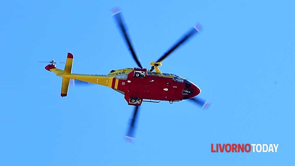 Elba, bambina azzannata al volto dal cane di famiglia: è grave