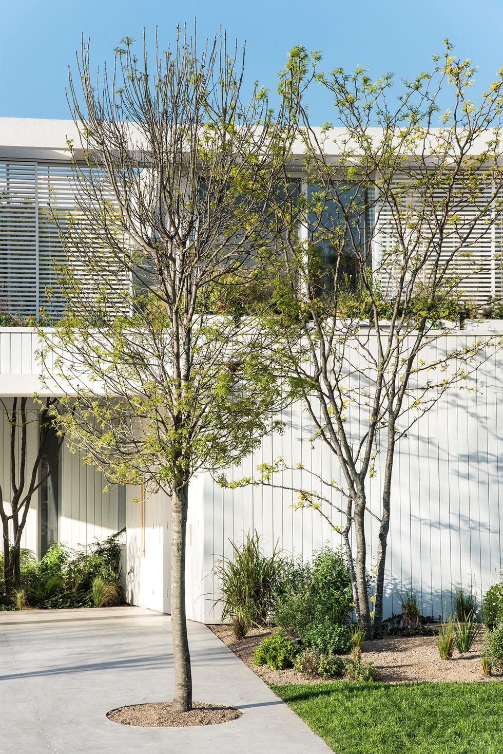una casa de campo moderna con porche y piscina del estudio melazza