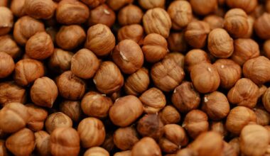 Fiera Nazionale della Nocciola di Cortemilia 2025: programma, ospiti e appuntamenti (16 Agosto 2025