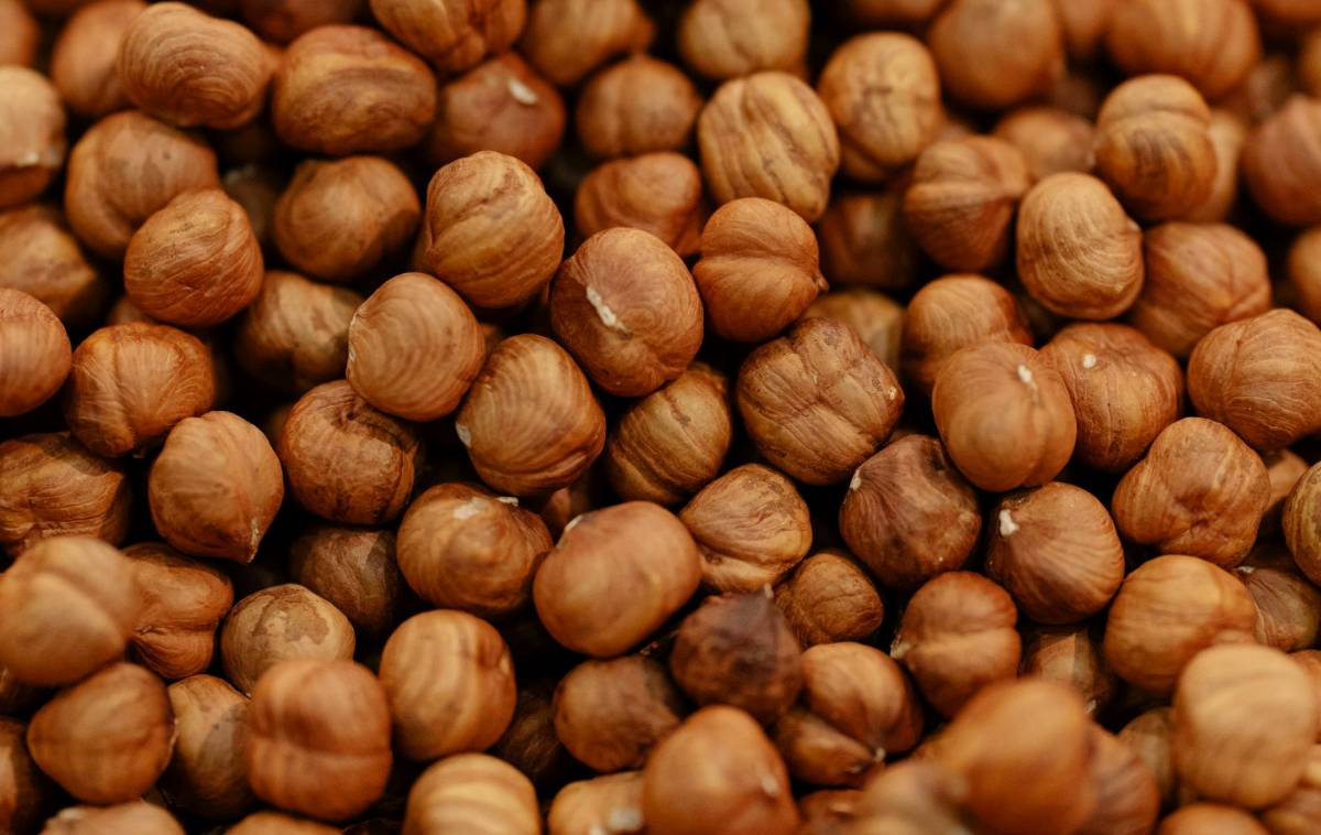 Fiera Nazionale della Nocciola di Cortemilia 2025: programma, ospiti e appuntamenti (16 Agosto 2025