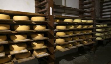 Formaggi a latte crudo, dai pericoli ai sintomi ai soggetti più a rischio: cosa sapere