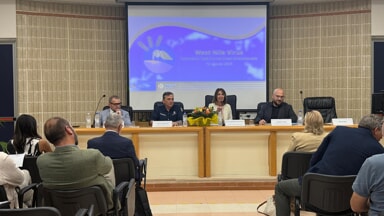 Foto tavolo tecnico ministero e Asl sul virus West Nile