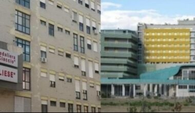 "Azienda Ospedaliero-Universitaria "Renato Dulbecco garantisce l'assistenza nonostante le criticità": la dichiarazione del Commissario Straordinario, Carbone