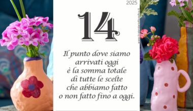 Giovedì 14 agosto | Oroscopo, almanacco, accadde oggi, proverbio e santo del giorno