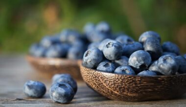 Antociani: cosa sono e in quali cibi trovarli - iO Donna