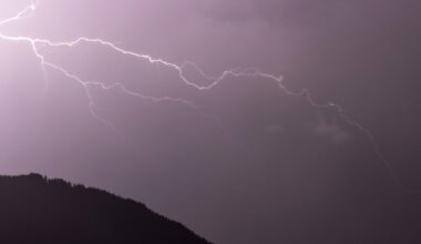 Pioggia e danni, alberi crollano sul raccordo Perugia-Bettolle