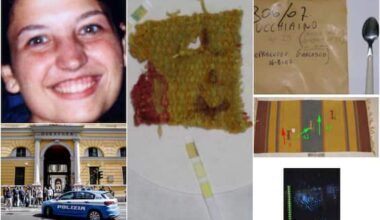 Omicidio Garlasco, Pm Pavia: 'Dna di Ignoto 3 nella bocca di Chiara Poggi è frutto di contaminazione'