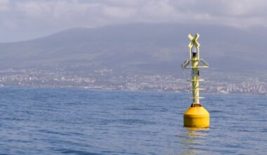 Incendio a bordo di un traghetto proveniente da Palermo nel Golfo di Napoli. Nave alla deriva - Il Fatto Quotidiano