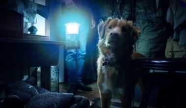 È uscito il primo trailer di Good Boy, l'horror raccontato dal punto di vista di un cane • Rivista Studio
