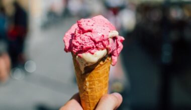 Prezzi dei gelati alle stelle, Firenze la più cara d’Italia secondo i dati del Mimit