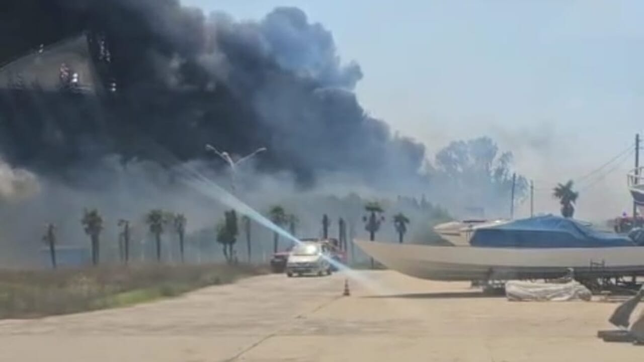 Incendio a Fiumicino 16 agosto 2025