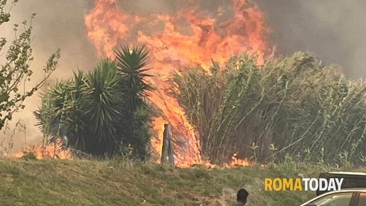 Incendi a Roma oggi giovedì 28 agosto 2025