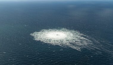 Nord Stream, confermato il carcere per l'ucraino arrestato per il sabotaggio del gasdotto