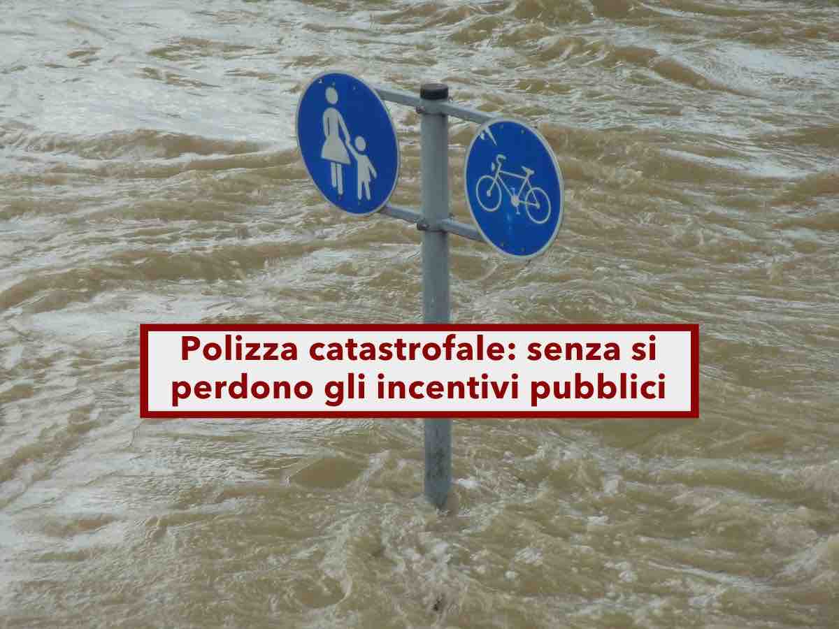 Partite iva, obbligo polizza catastrofale per non perdere incentivi e finanziamenti pubblici: ecco chi è costretto a farla - Brocardi.it