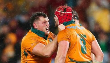 Foto Wallabies