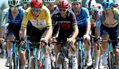 volata finale per licenze e wild card