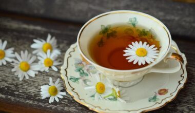 i rimedi naturali sono efficaci? I risultati dello studio su 64 prodotti da banco