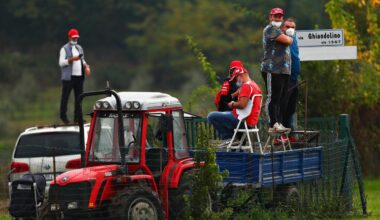 La F1 strizza l’occhio a Imola. Gli scatti social scaldano i tifosi. Penazzi: "Non ci hanno scordato"