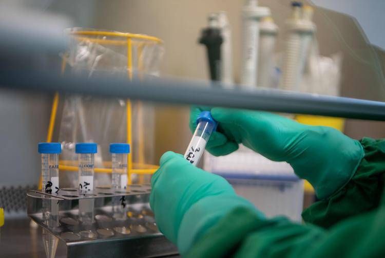 Botulino, cos'è l'antidoto e dove è conservato