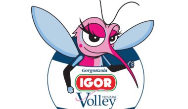 Pallavolo donne. Novara, domani il raduno, la Igor Volley "da i numeri"